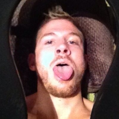 gayscatpig's profile picture