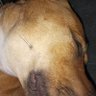 m profil fotoğrafı