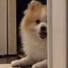 E3's profile picture