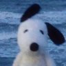 Graz's profile picture