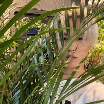 유즈's profile picture