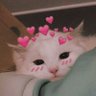 ⋆. 𐙚˚࿔ 𝒕𝒉𝒓𝒔 𝜗𝜚˚⋆ profil fotoğrafı