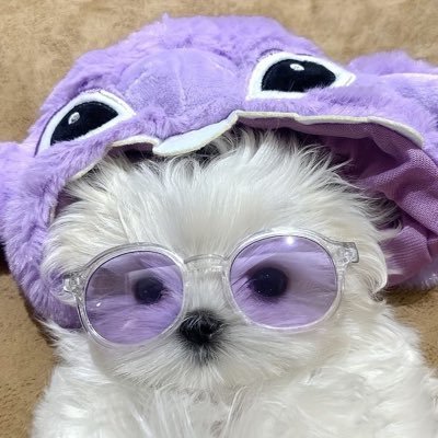 JNisblack's profile picture