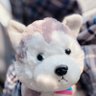 A!'s profile picture