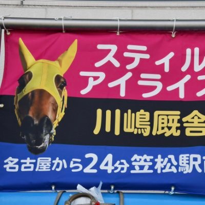 kinutashika's profile picture