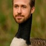 Ryan Goosling profil fotoğrafı