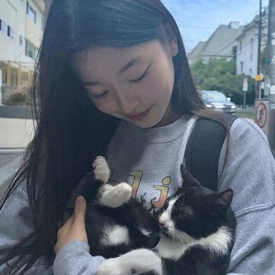y🐈･･'s profile picture