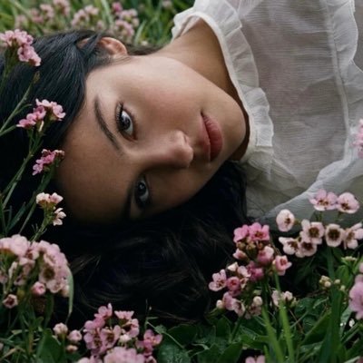 prismual's profile picture