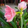 Фото профиля Joe6304
