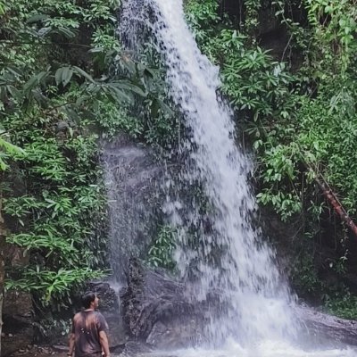 emocnat's profile picture