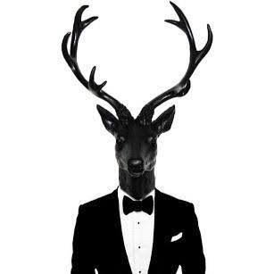 GkHAN51382's profile picture