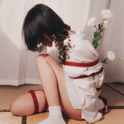 小孟Momo44.9's profile picture