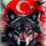 haluk 的头像