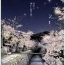 銀河系の金貨 profil fotoğrafı