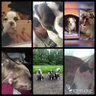 Profilbild von Tina & Carlos OTRB 😇❤️ ❤️🐾🐕