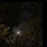 Фото профиля Rawan