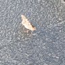 Tuna ๐ ๐ฅซ's profile picture