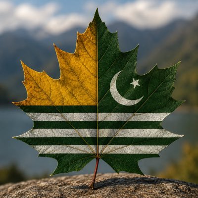 Kashmir Insight's profile picture
