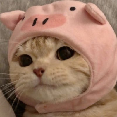 N's profile picture
