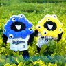 グッチ@野球好き⚾ (9-10月の甲子園すべて現地) 的头像