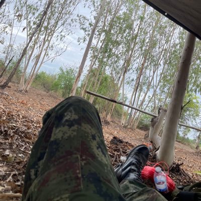 ! ғᴏɴɢ ʙᴇᴇʀ's profile picture