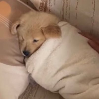 แมะ 's profile picture