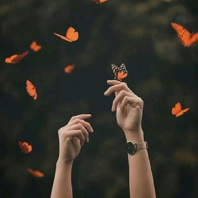 tayf_d1's profile picture