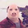 Simon Oviedo profil fotoğrafı