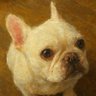 ♢yumi♢'s profile picture