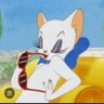 Whitekittykat's profile picture