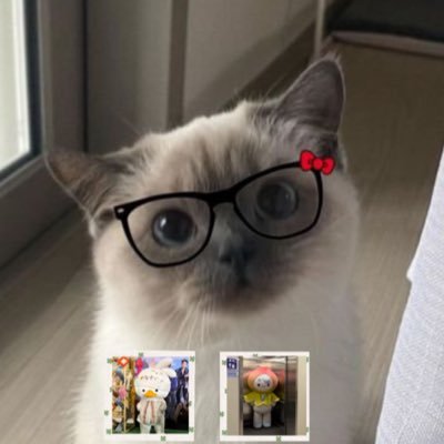 bibimeawprg's profile picture