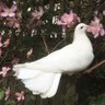 Фото профиля marwan
