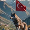 FreeMann profil fotoğrafı