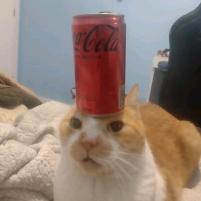 maybegrayson's profile picture