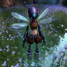 meadowtreader 的头像