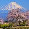 Фото профиля 陰徳陽報・陽徳無報