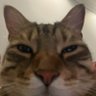 Profilbild von Toxikiss