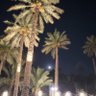 الروقي's profile picture