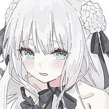 ︎ ︎︎ひめ's profile picture