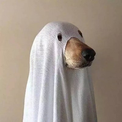 DAlerander1844's profile picture