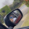 person profil fotoğrafı