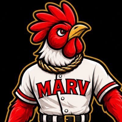 Marv Training 🐔's profile picture