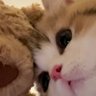 长言悦 profil fotoğrafı