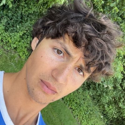 PiagetianPeater's profile picture