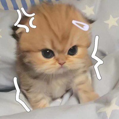 michioraa's profile picture