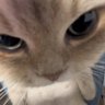 Profilbild von Lana