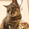 Фото профиля あんちん