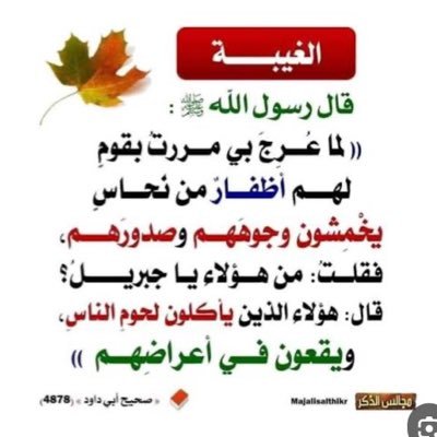 marymalii111's profile picture