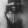 Law’zeer💥🏴☠️'s profile picture