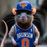 Local Sewer Rat 的头像